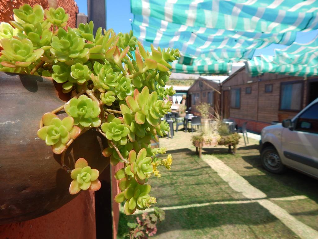 Hostal Del Suri Кафаяте Екстер'єр фото